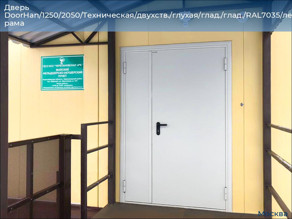 Дверь DoorHan/1250/2050/Техническая/двухств./глухая/глад./глад./RAL7035/лев./угл. рама, 