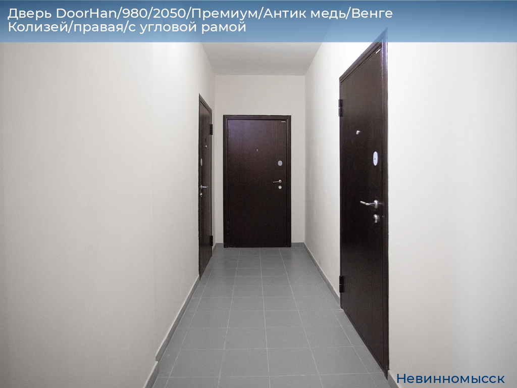 Дверь DoorHan/980/2050/Премиум/Антик медь/Венге Колизей/правая/с угловой рамой, nevinnomyssk.doorhan.ru