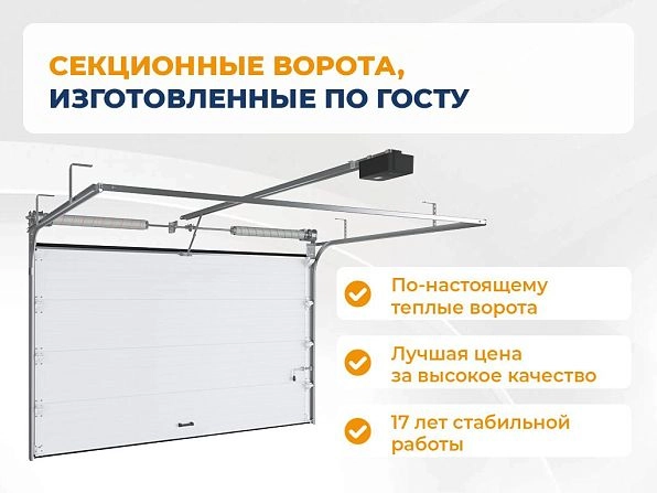 Секционные ворота 2500х2050 мм коричнево-красные DoorHan rsd02, nevinnomyssk.doorhan.ru